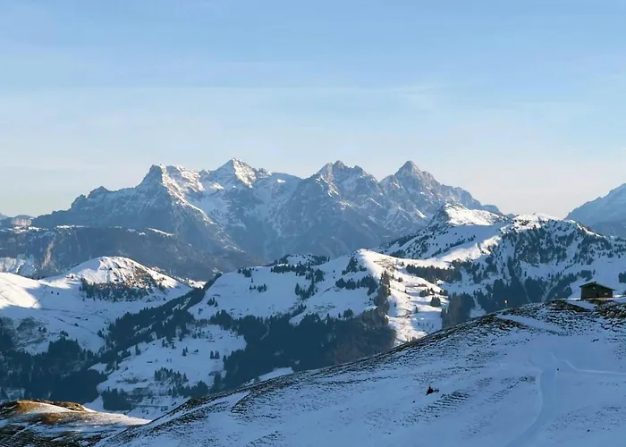 Luxury Kirchberg Chalet